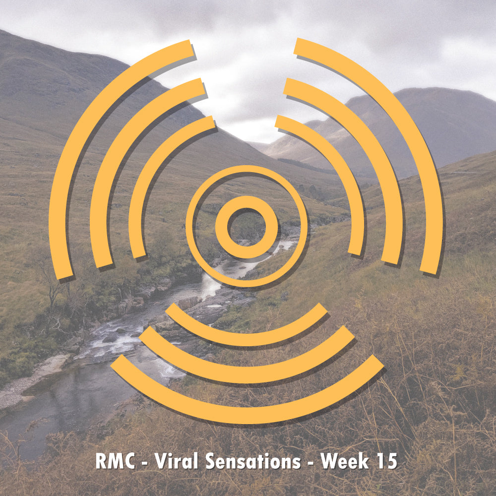 Viral Sensations Playlists