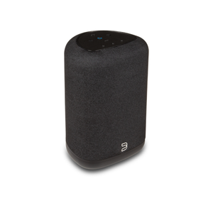 Bluesound - Pulse Flex (P130) - Wireless Speaker