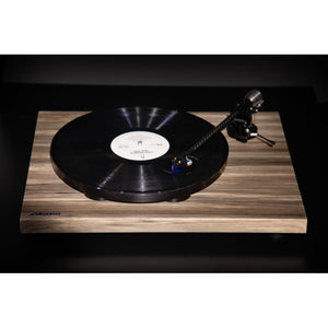 Auris – JAZZ – Turntable
