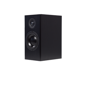 Totem - Bison Monitor - Bookshelf Speakers (Pair) - ALL STORES