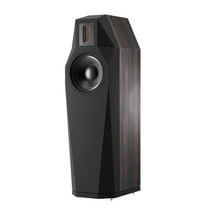 Fink Team - Borg - Floor Standing Speaker New Zealand