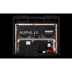 Auralic - ARIES G3 - Wireless Streaming Processor