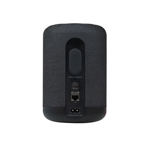 Bluesound - Pulse Flex (P130) - Wireless Speaker