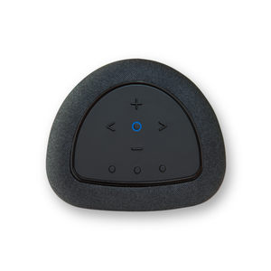 Bluesound - Pulse Flex (P130) - Wireless Speaker