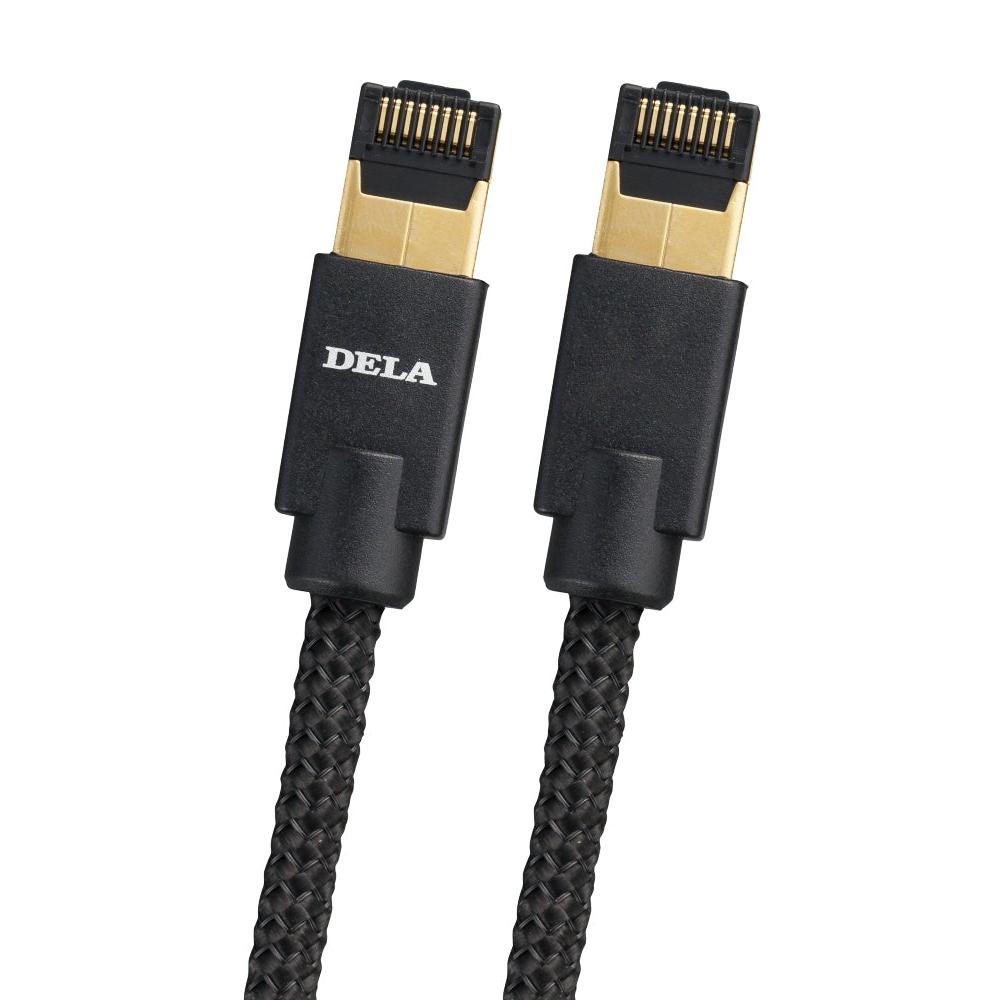 DELA - C100 - Ethernet Cable