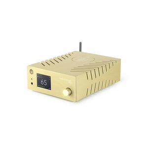 Gold Note – DS-10 EVO – Streaming DAC with Preamplifier and Headphone Output