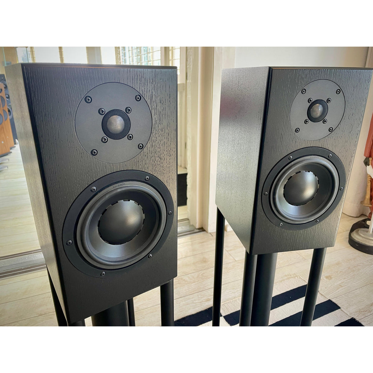Totem - Signature Model One Monitor Speakers - Previously Enjoyed - AUCKLAND STORE