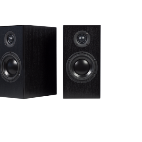 Totem - Bison Monitor - Bookshelf Speakers (Pair)