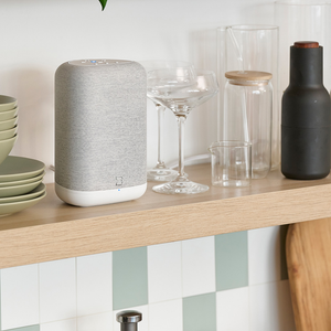 Bluesound - Pulse Flex (P130) - Wireless Speaker