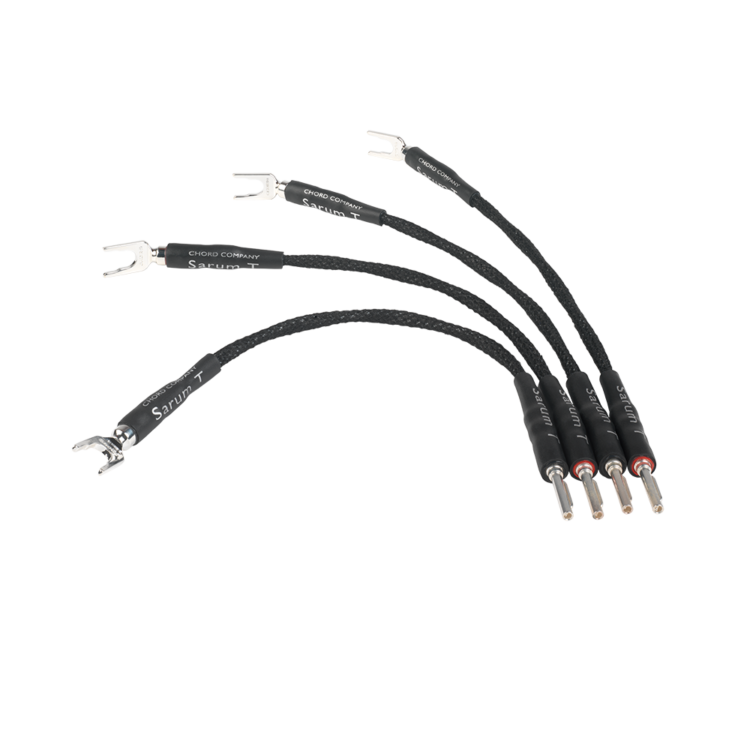 Chord Company - Sarum T Spade to Banana Links