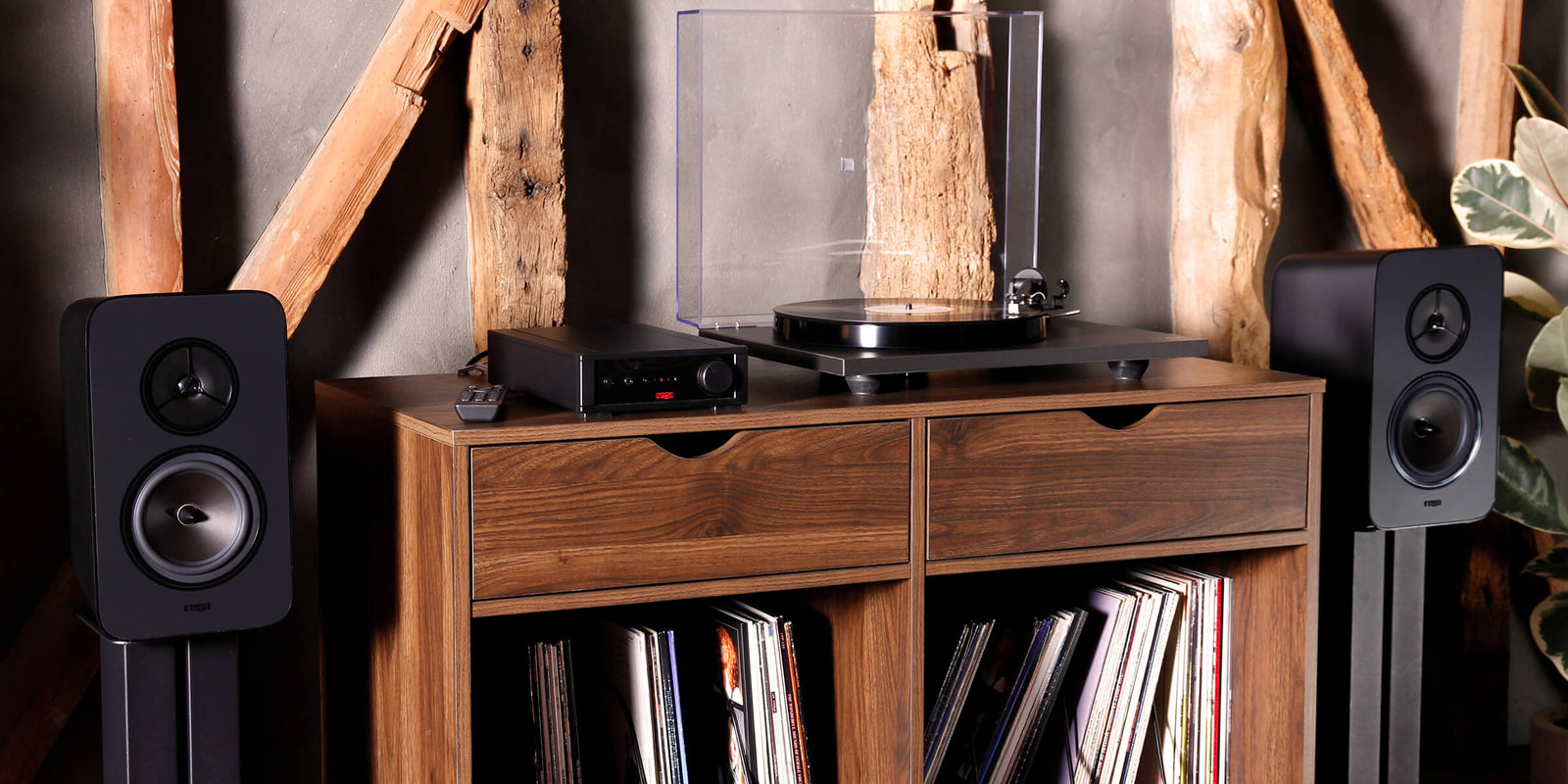 RCA to DIN Cables - The Real Music Company