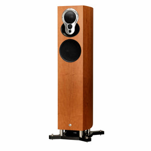 Linn - Akubarik - Floor Standing Speakers