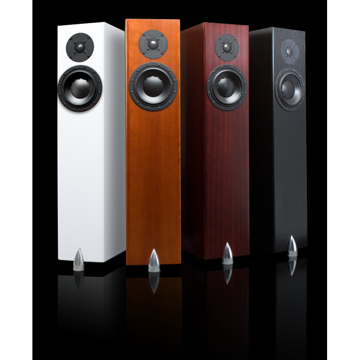 Totem forest best sale speakers