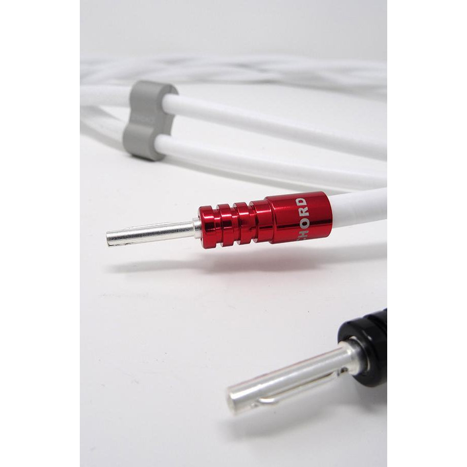 Chord Co - Sarum Speaker Pair New Zealand