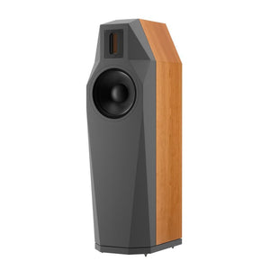 Fink Team - Borg - Floor Standing Speaker New Zealand