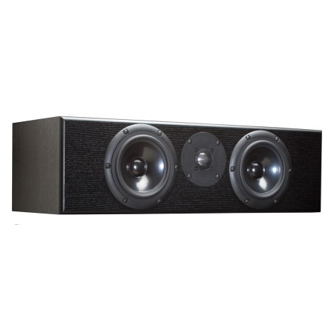 Totem - Rainmaker Center - Monitor Speaker New Zealand